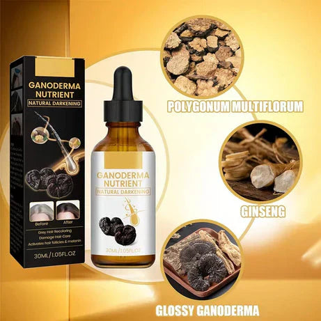 Essence Oil Natural Hair Growth Scalp Black Ganoderma Lucidum White To Black Stop Hair Loss Treatment Products 30ml